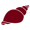 moluscos